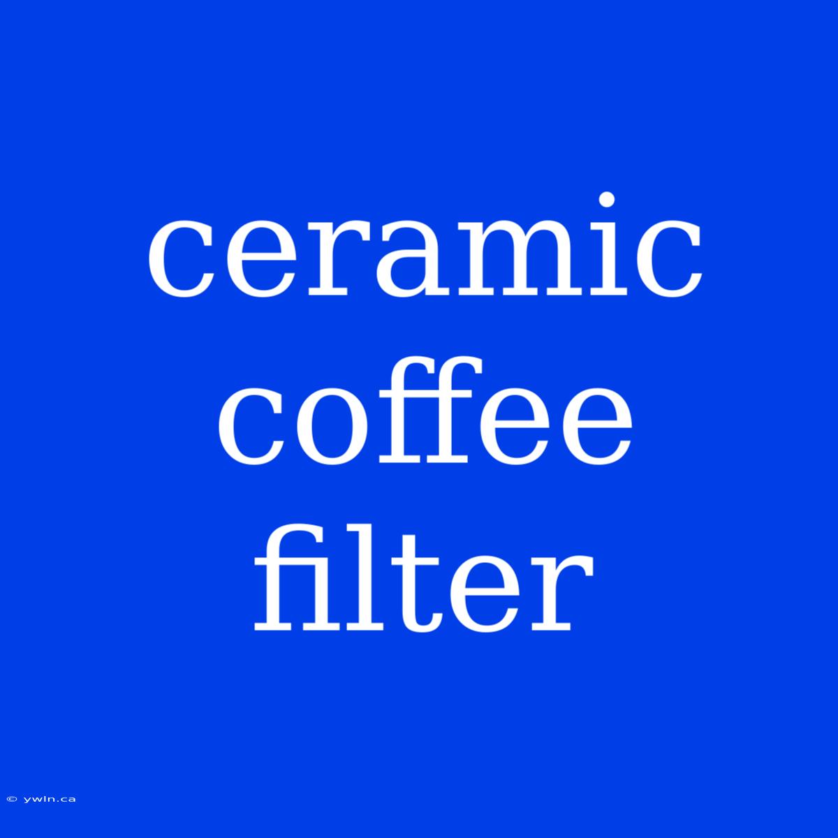 Ceramic Coffee Filter