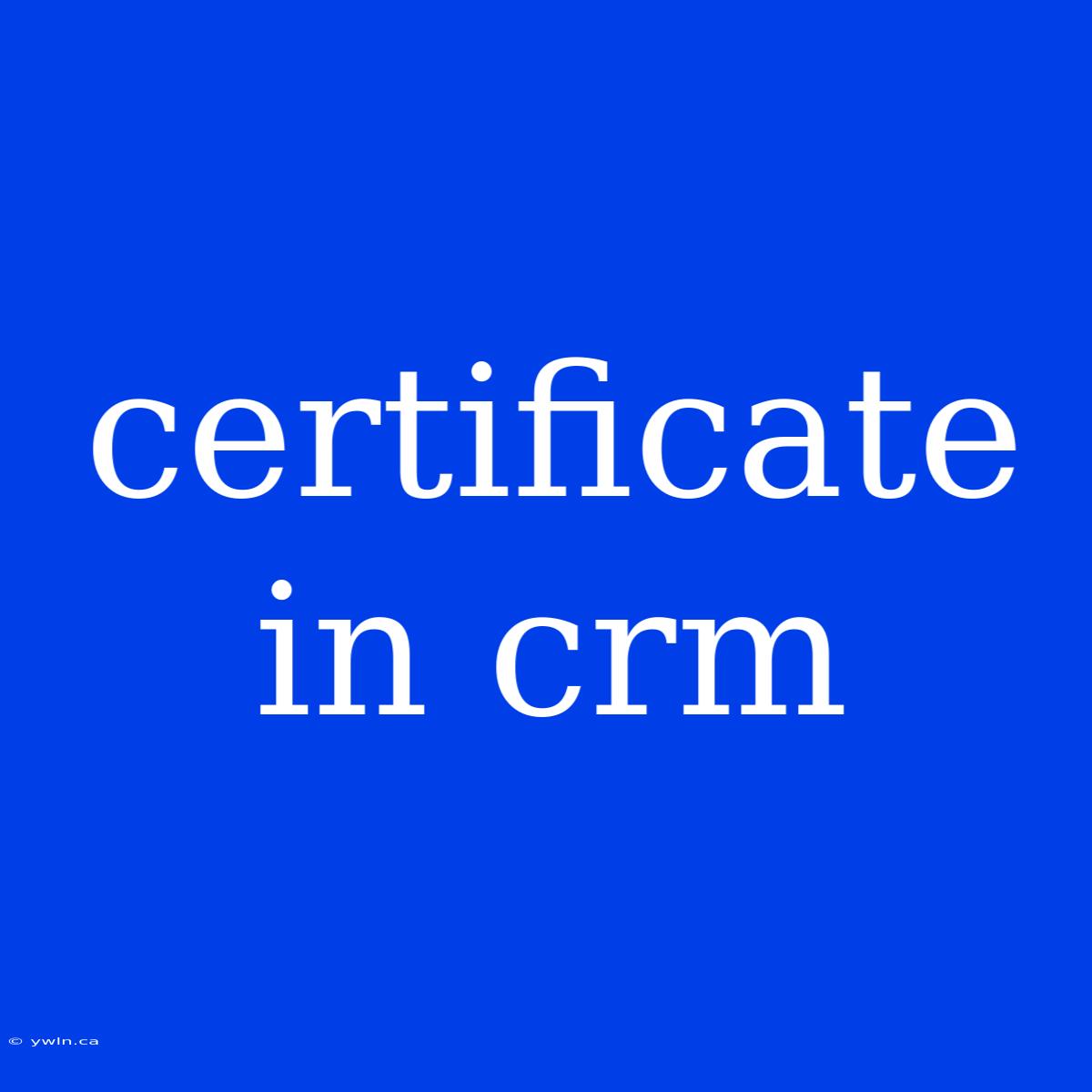 Certificate In Crm