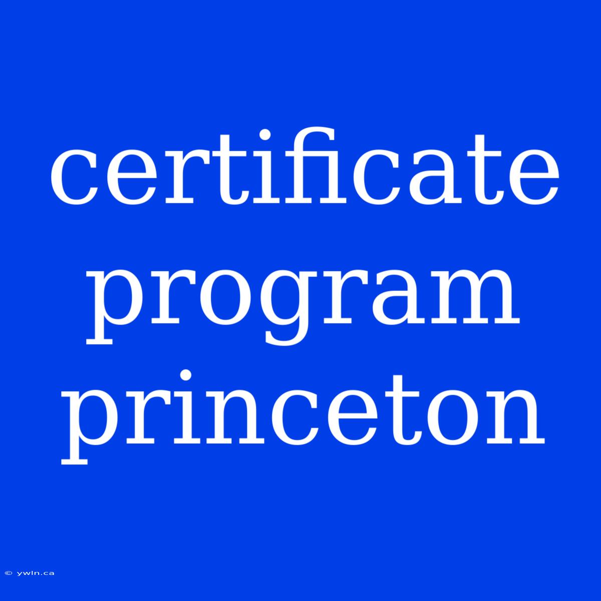 Certificate Program Princeton