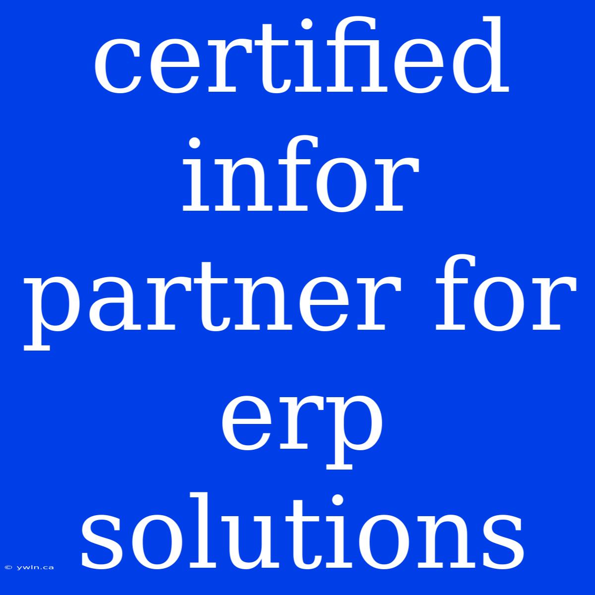 Certified Infor Partner For Erp Solutions