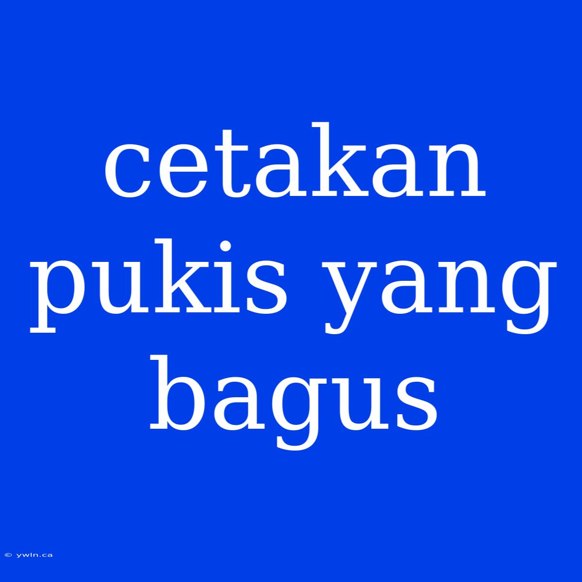 Cetakan Pukis Yang Bagus