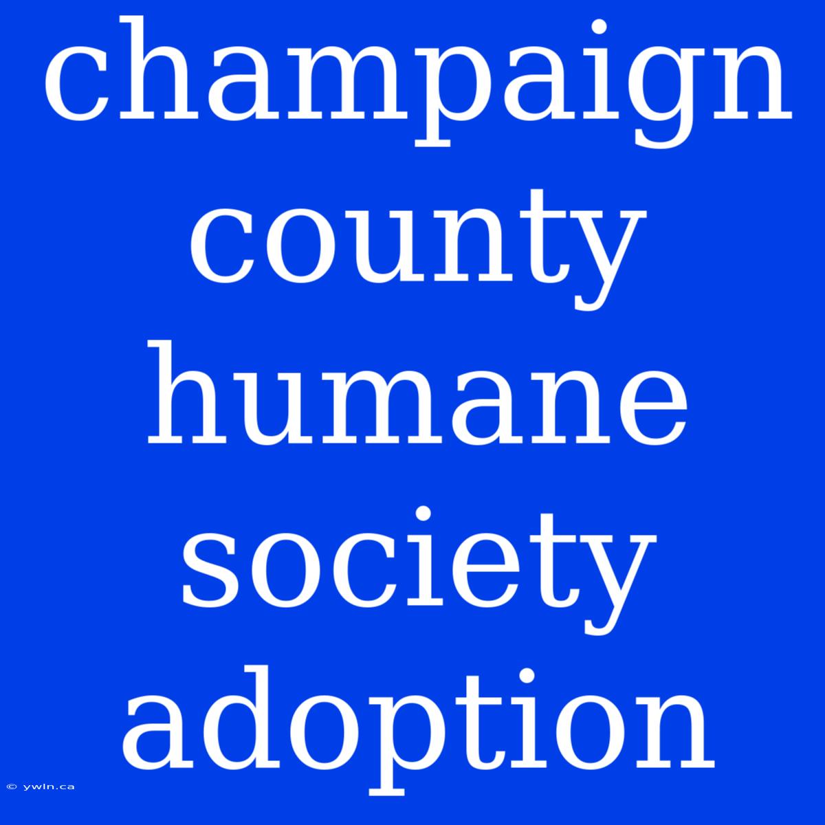 Champaign County Humane Society Adoption