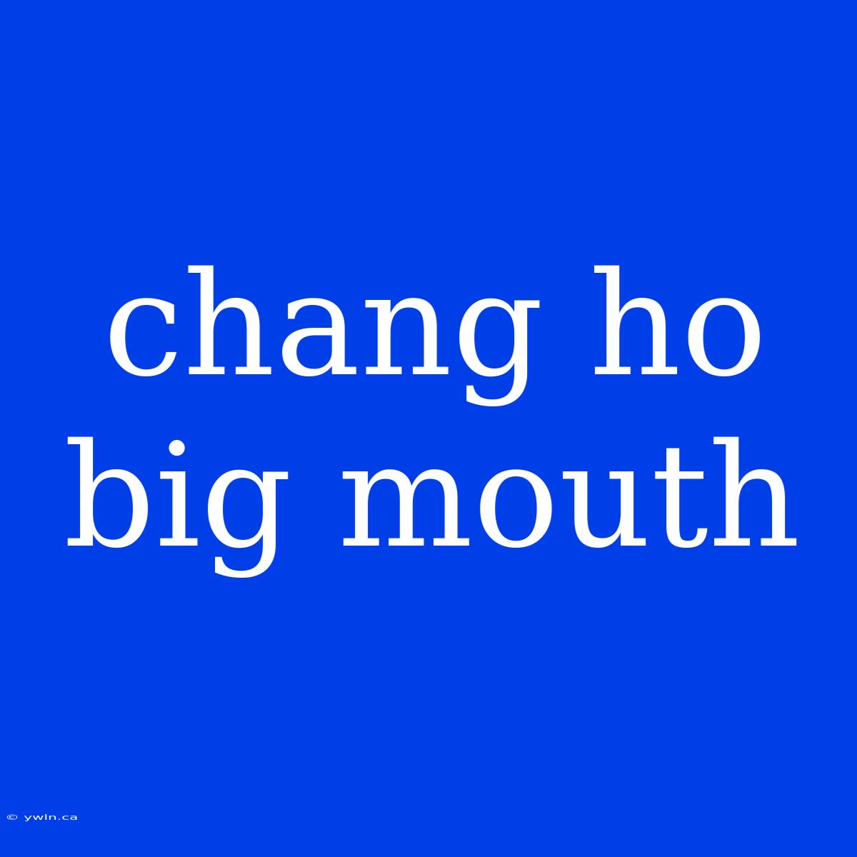 Chang Ho Big Mouth