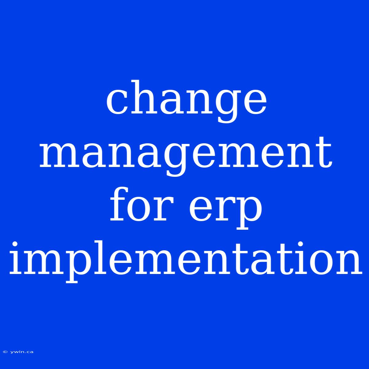 Change Management For Erp Implementation