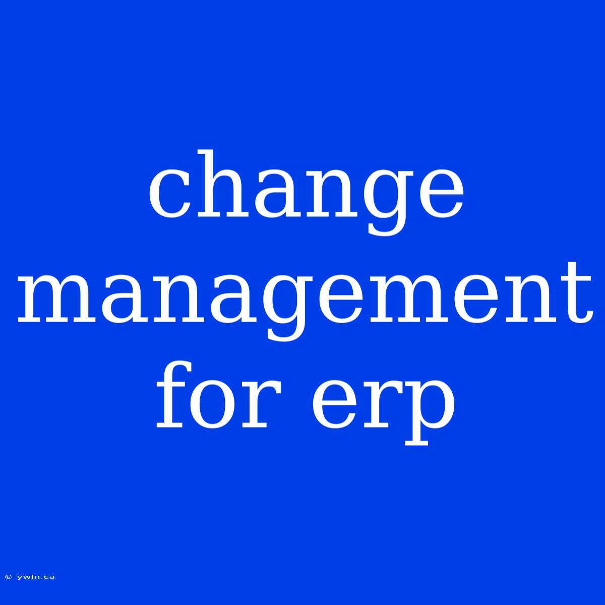 Change Management For Erp