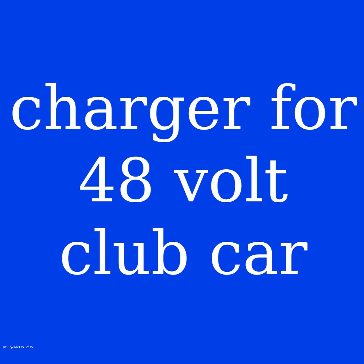 Charger For 48 Volt Club Car