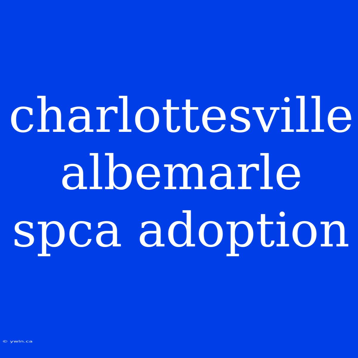 Charlottesville Albemarle Spca Adoption