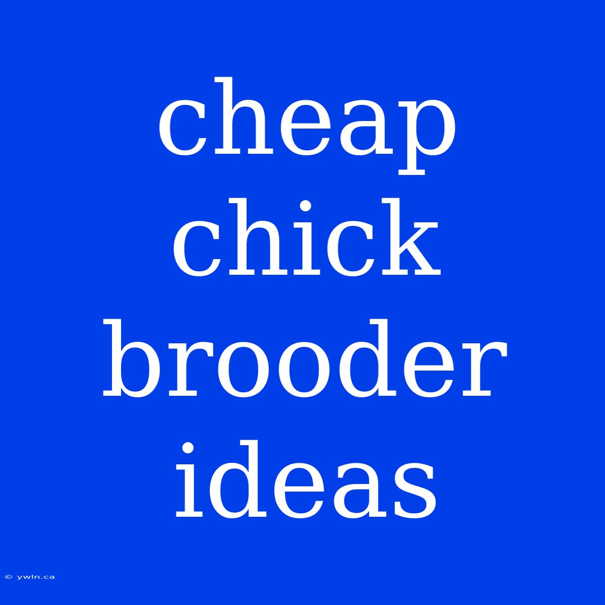 Cheap Chick Brooder Ideas