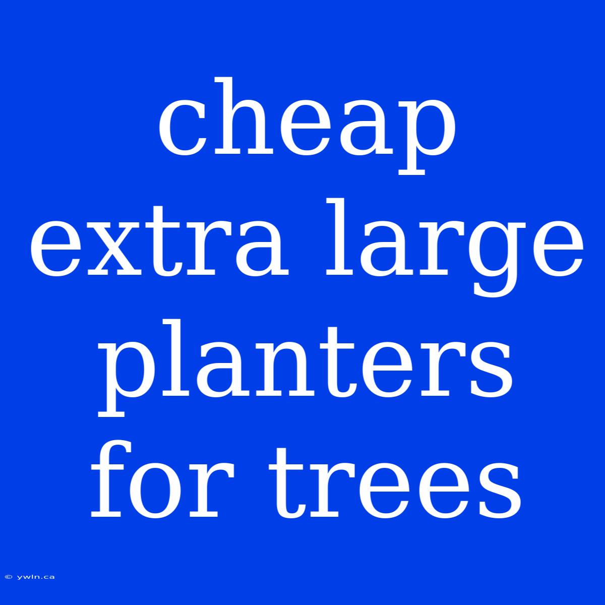 Cheap Extra Large Planters For Trees