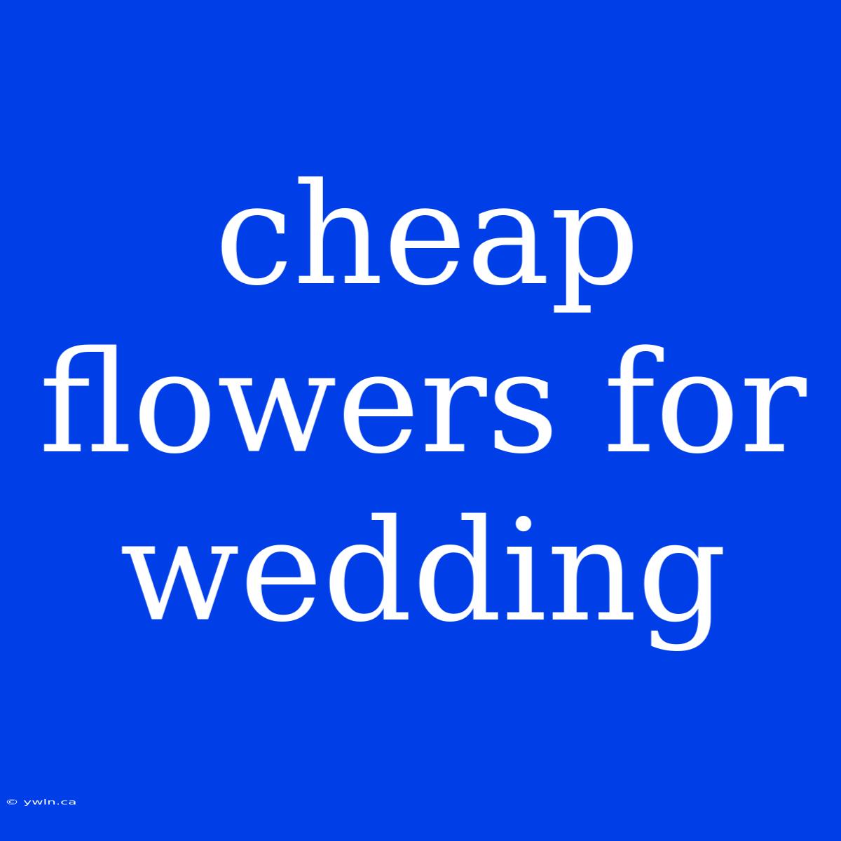 Cheap Flowers For Wedding