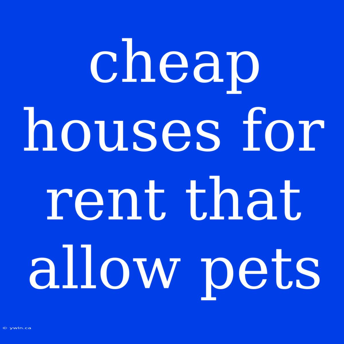 Cheap Houses For Rent That Allow Pets