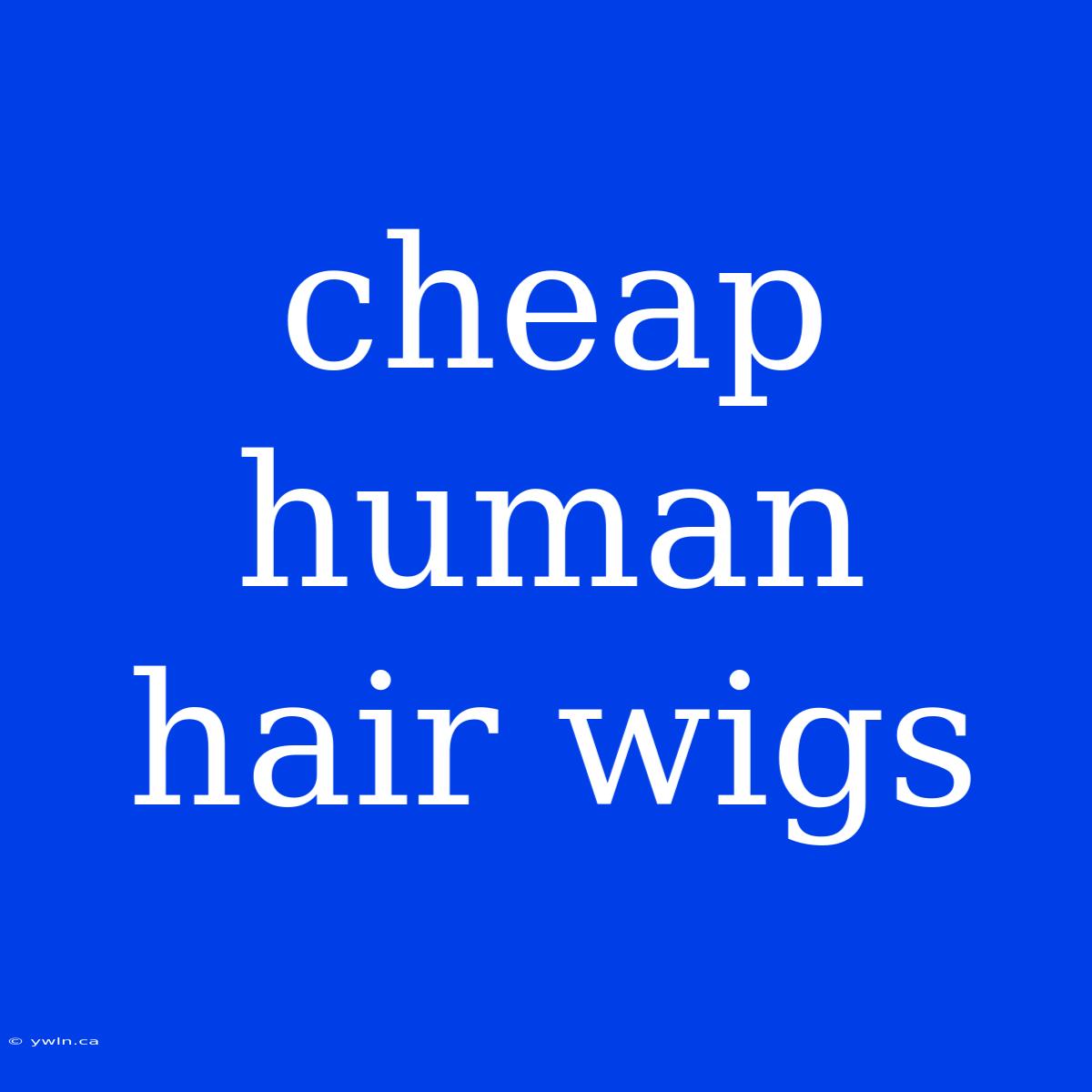 Cheap Human Hair Wigs