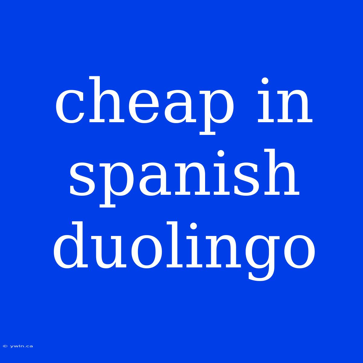 Cheap In Spanish Duolingo