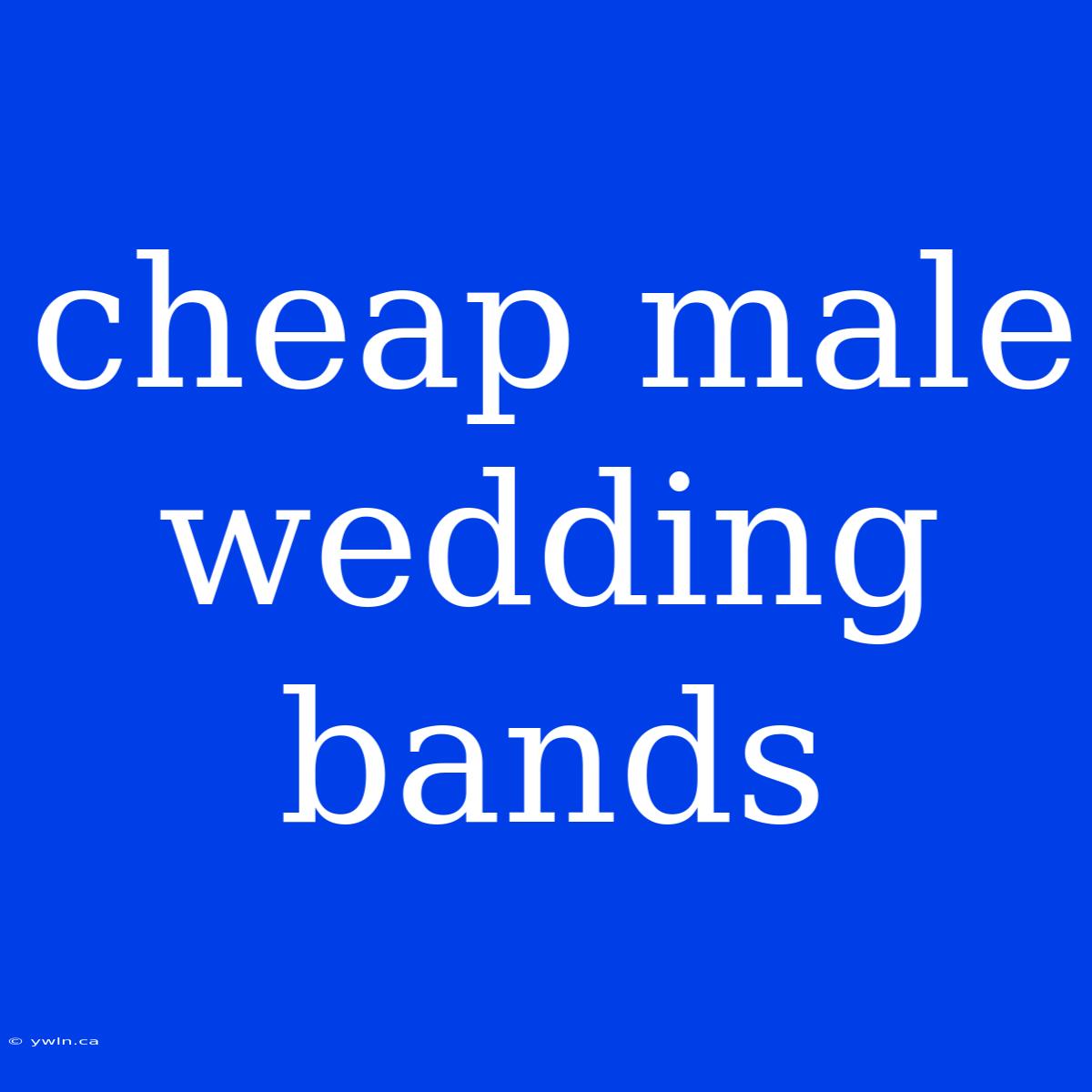 Cheap Male Wedding Bands