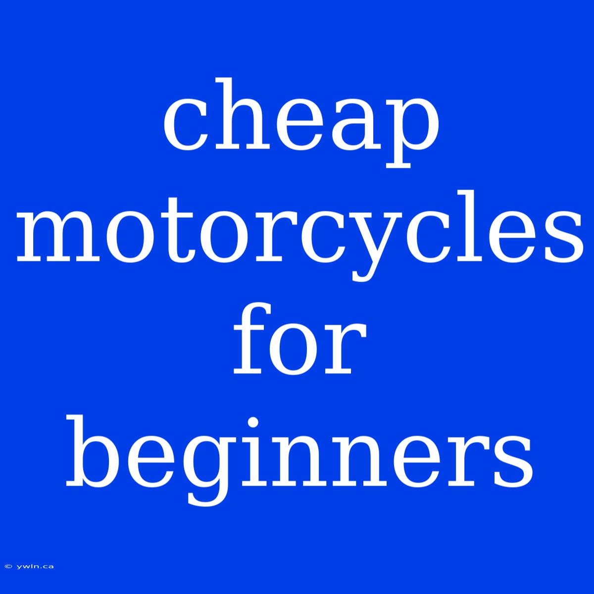 Cheap Motorcycles For Beginners