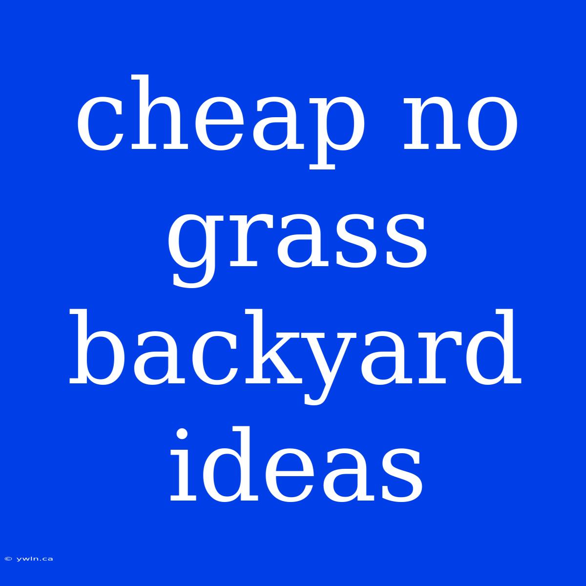 Cheap No Grass Backyard Ideas