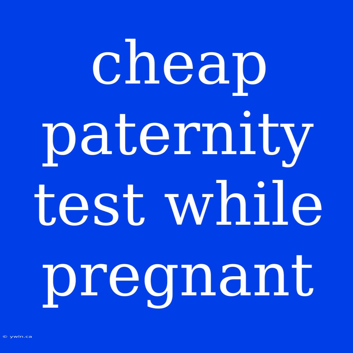 Cheap Paternity Test While Pregnant