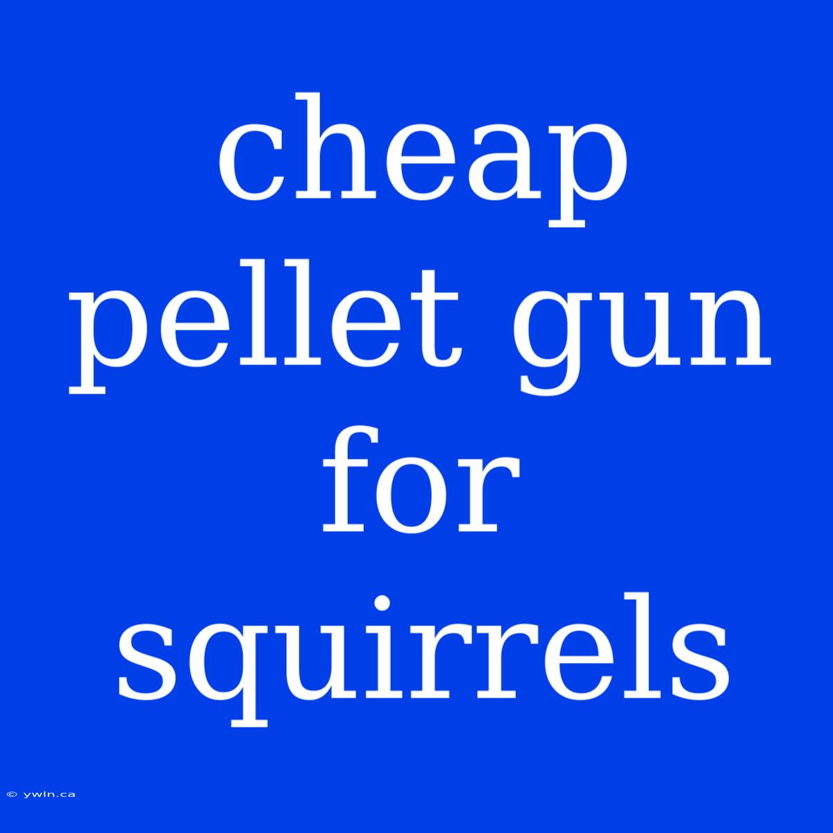 Cheap Pellet Gun For Squirrels