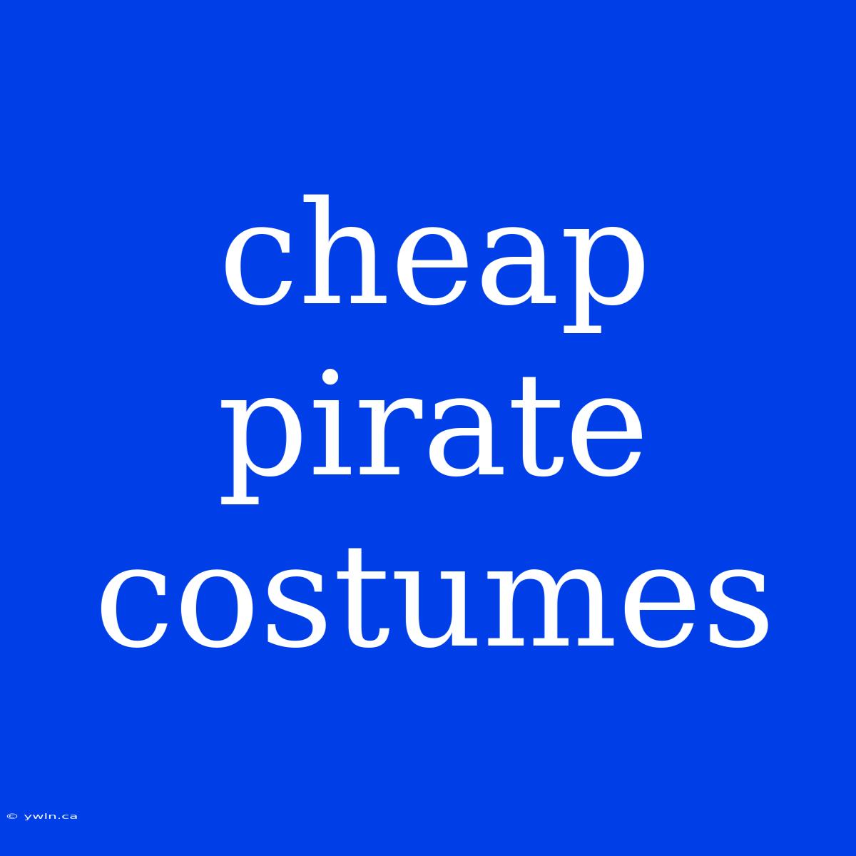 Cheap Pirate Costumes