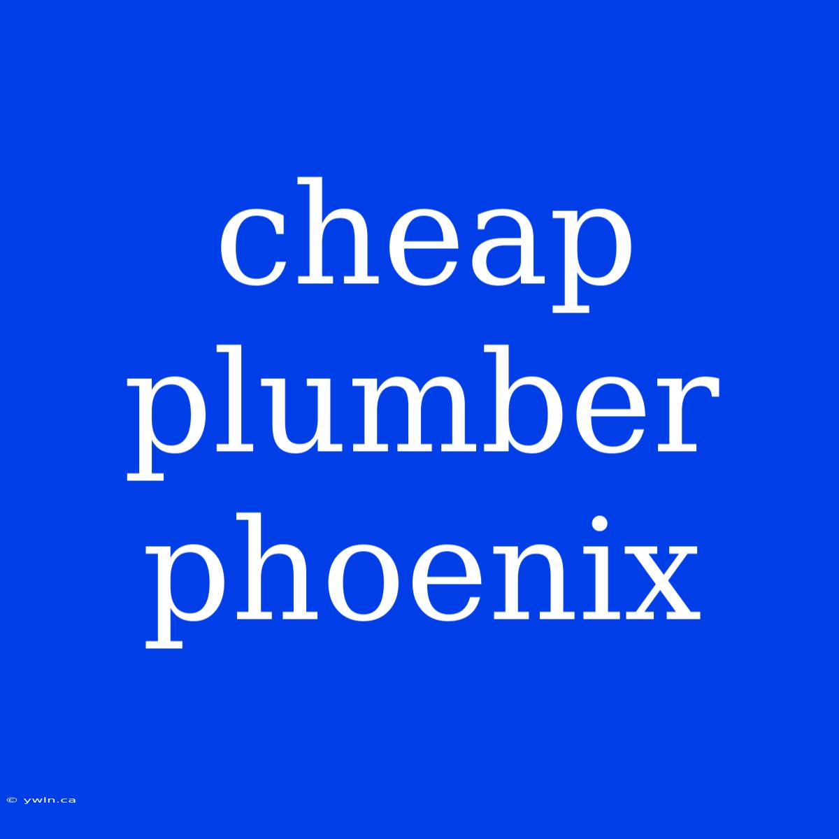 Cheap Plumber Phoenix