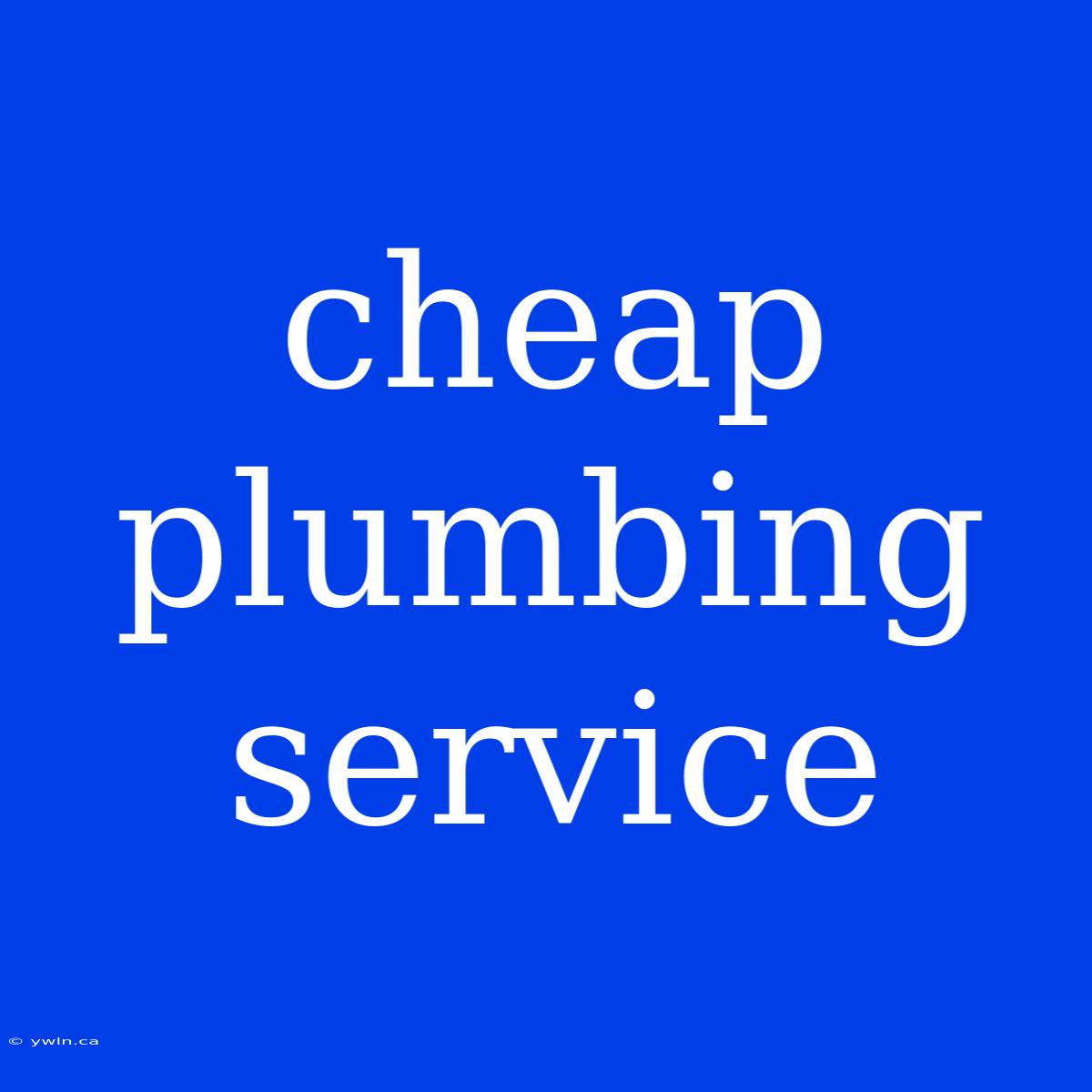 Cheap Plumbing Service