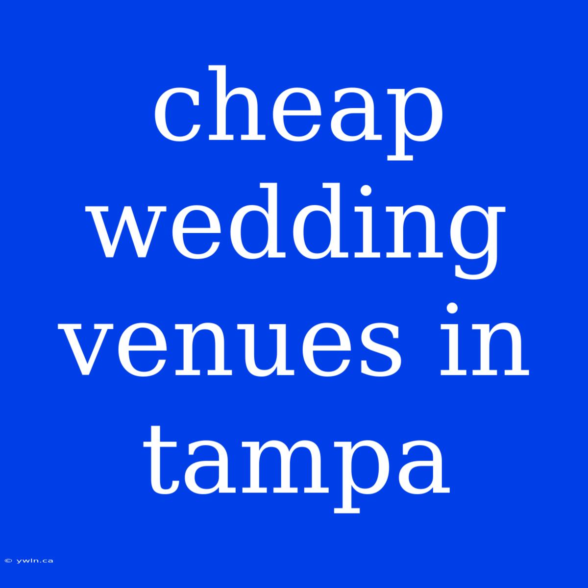 Cheap Wedding Venues In Tampa