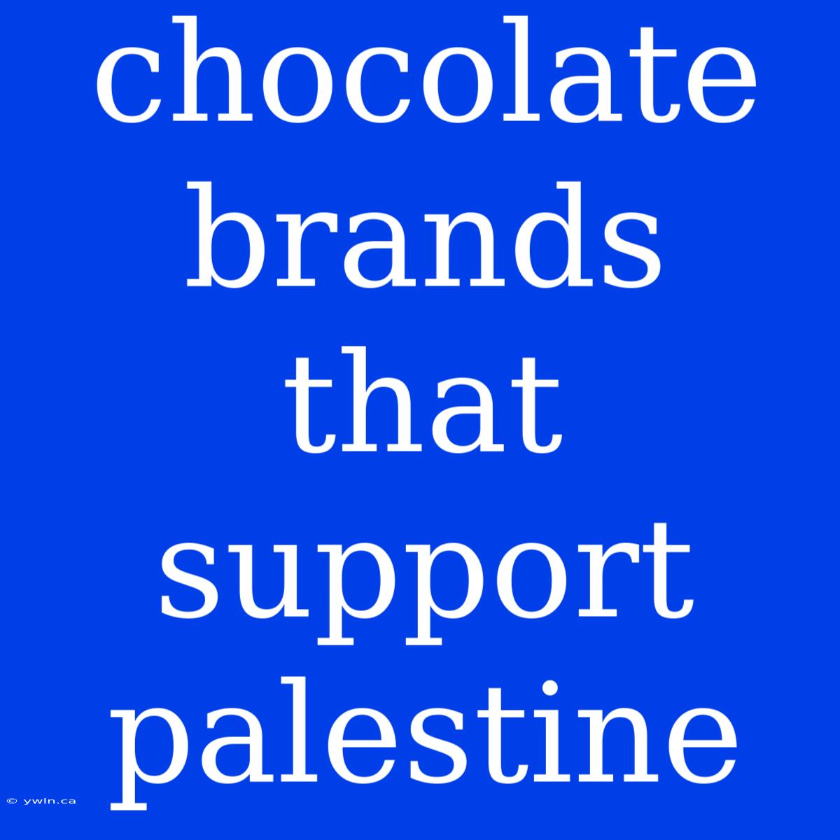 Chocolate Brands That Support Palestine