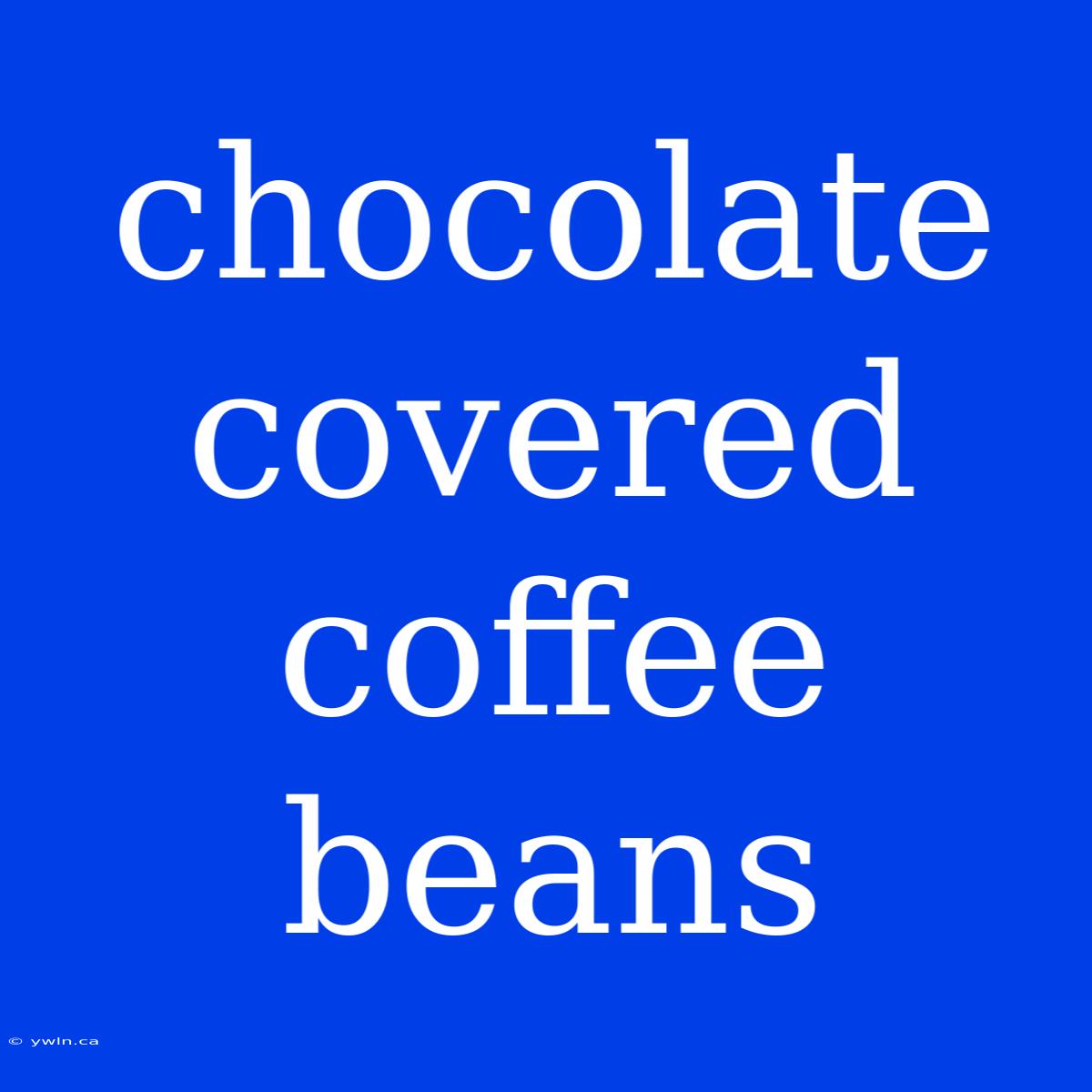 Chocolate Covered Coffee Beans