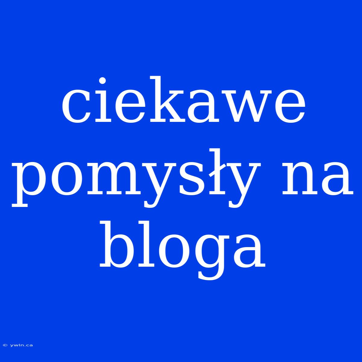 Ciekawe Pomysły Na Bloga