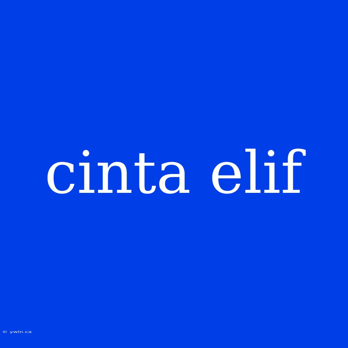 Cinta Elif