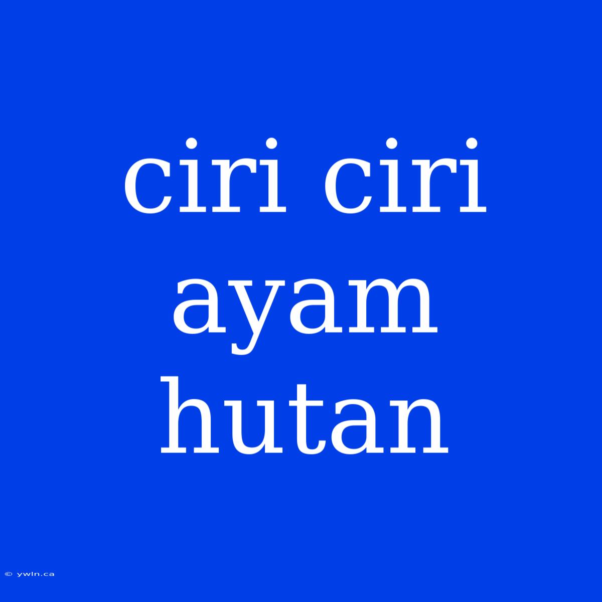 Ciri Ciri Ayam Hutan