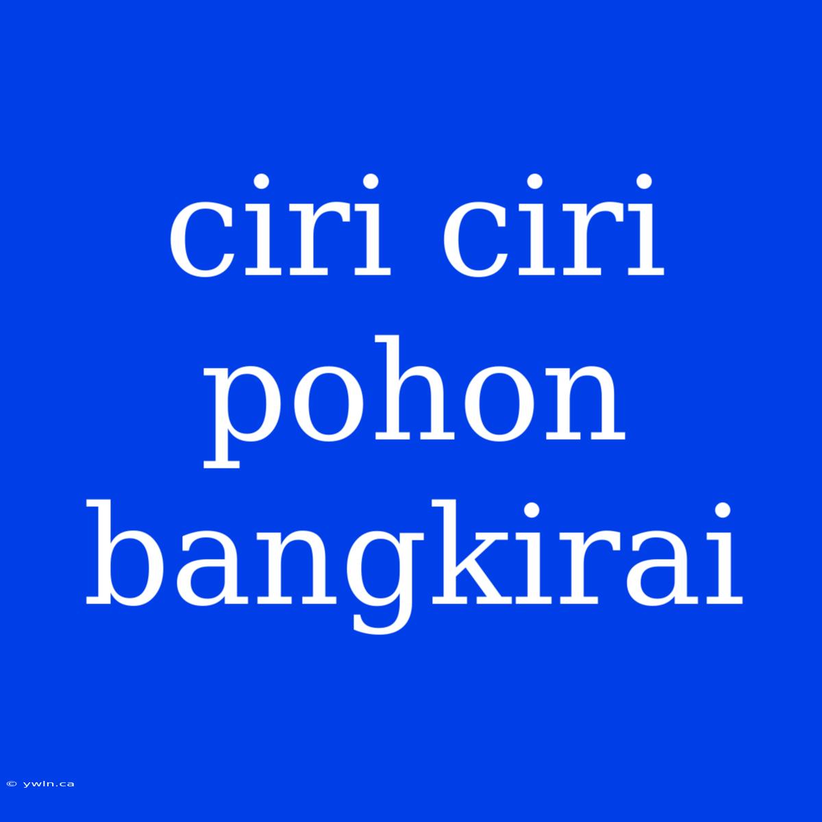 Ciri Ciri Pohon Bangkirai