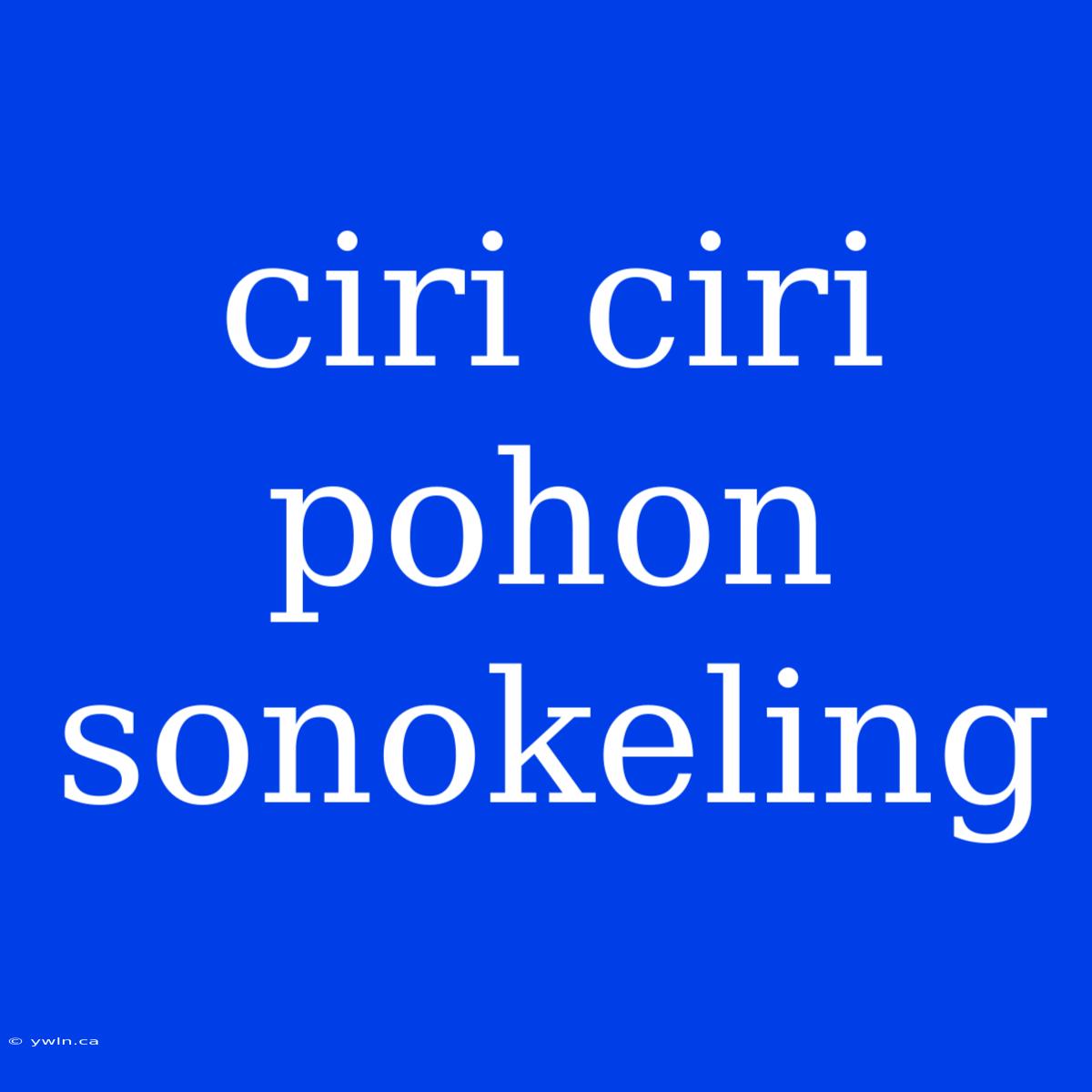 Ciri Ciri Pohon Sonokeling