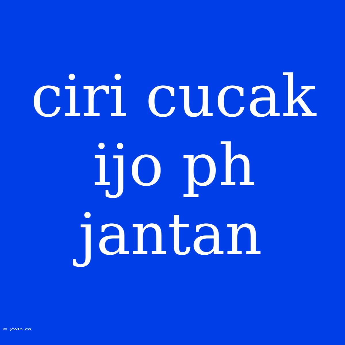 Ciri Cucak Ijo Ph Jantan