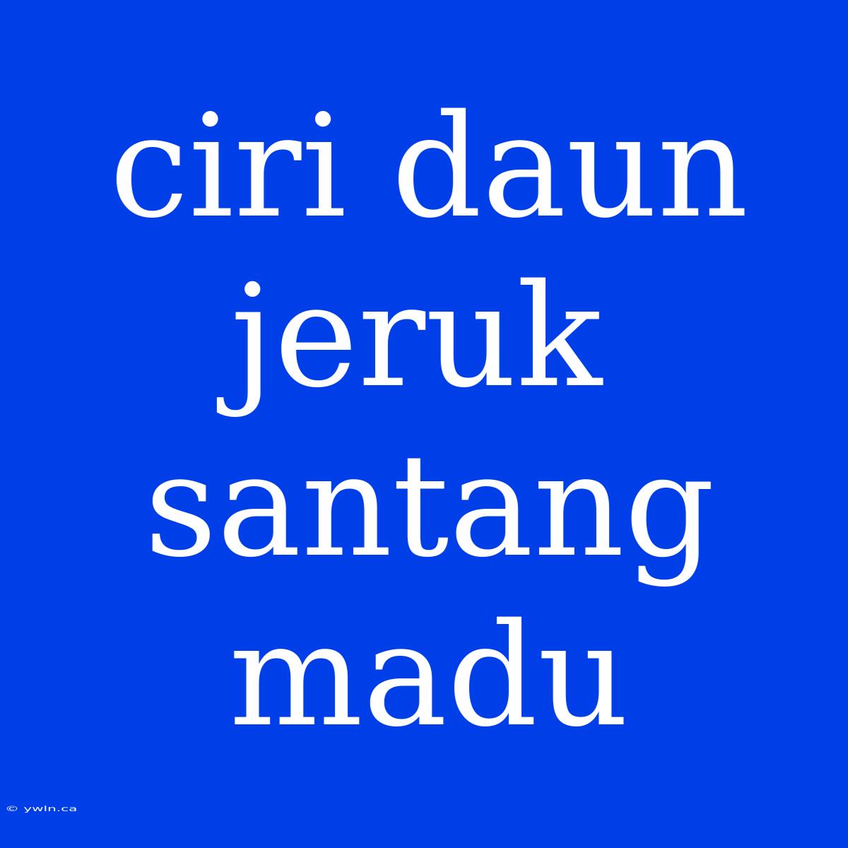 Ciri Daun Jeruk Santang Madu