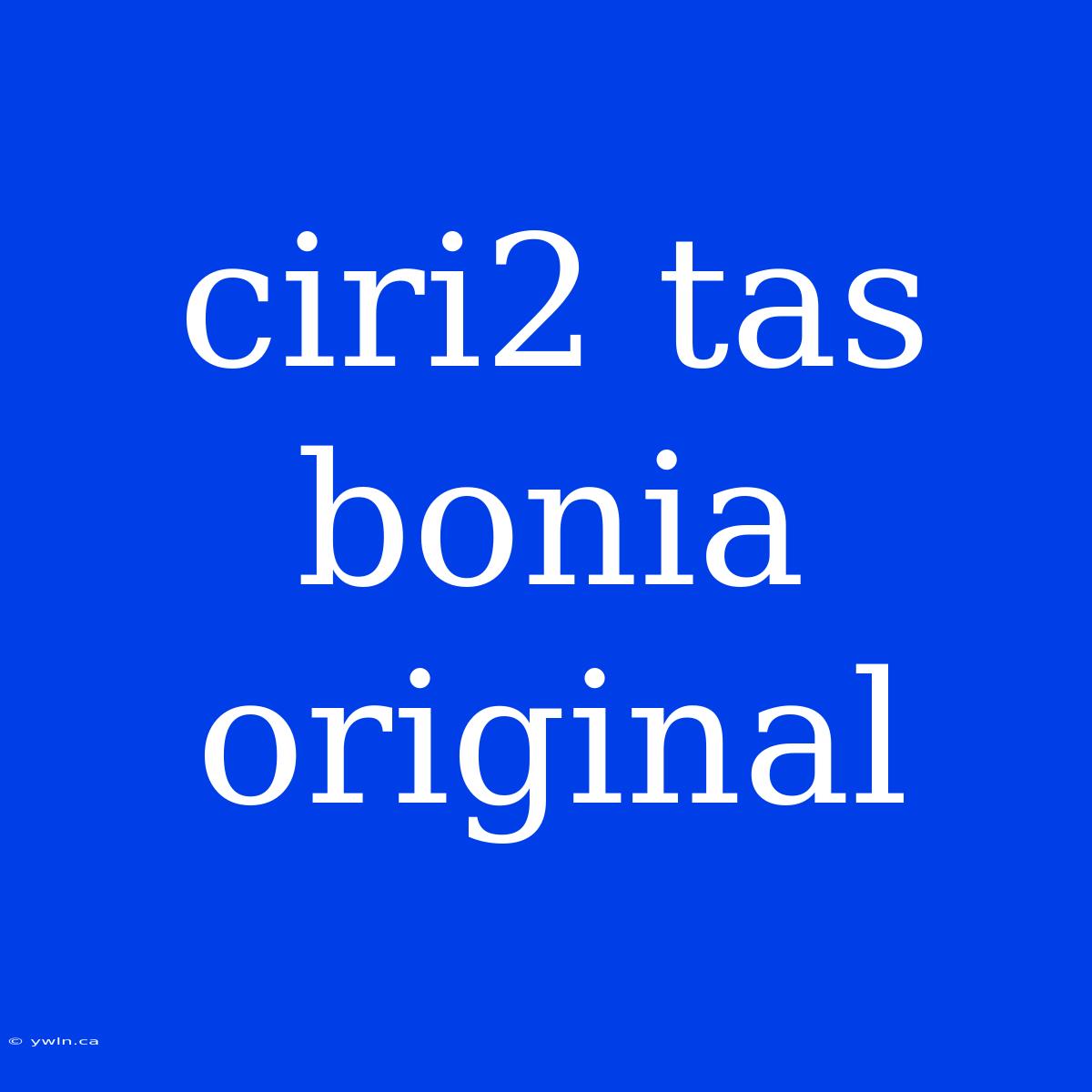 Ciri2 Tas Bonia Original