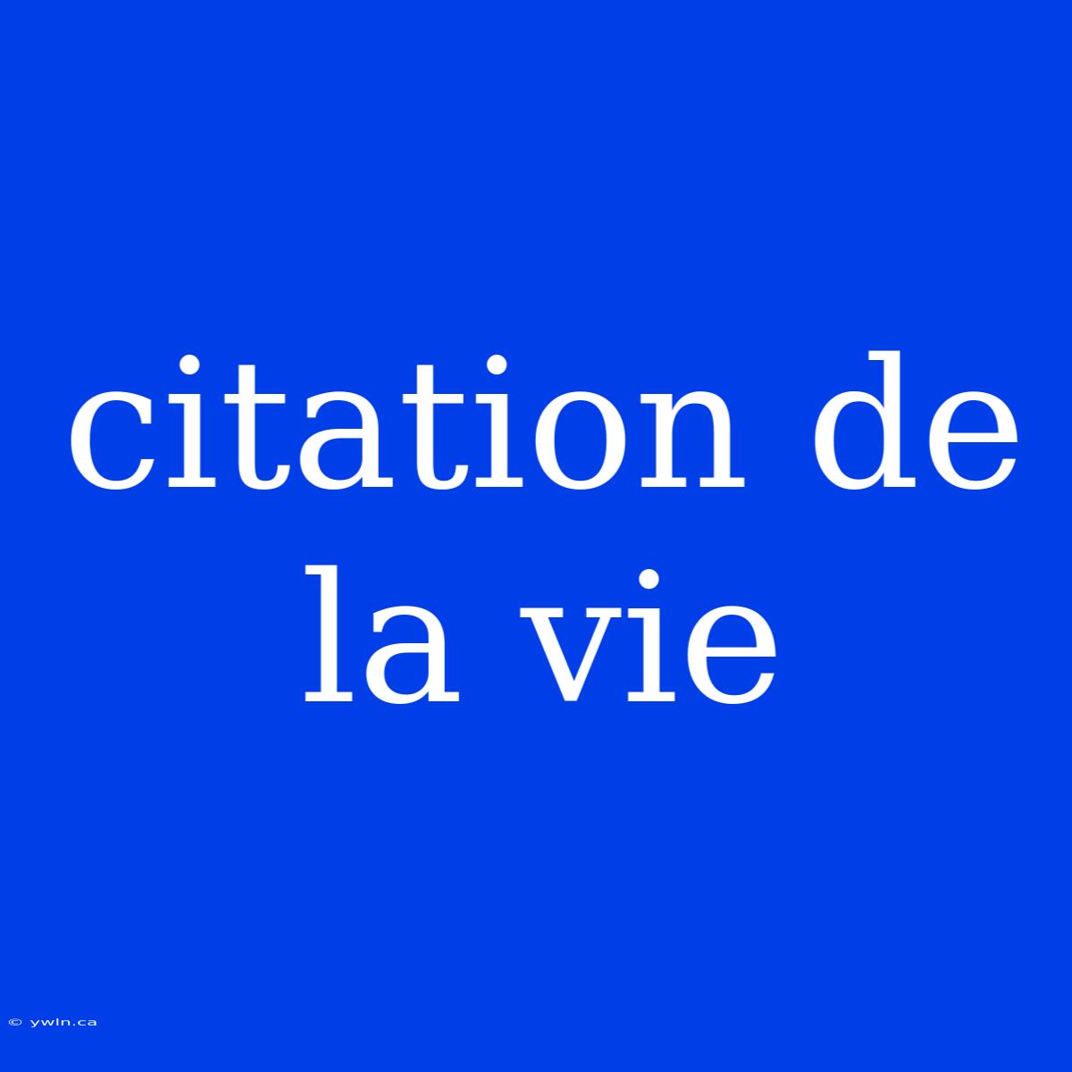 Citation De La Vie