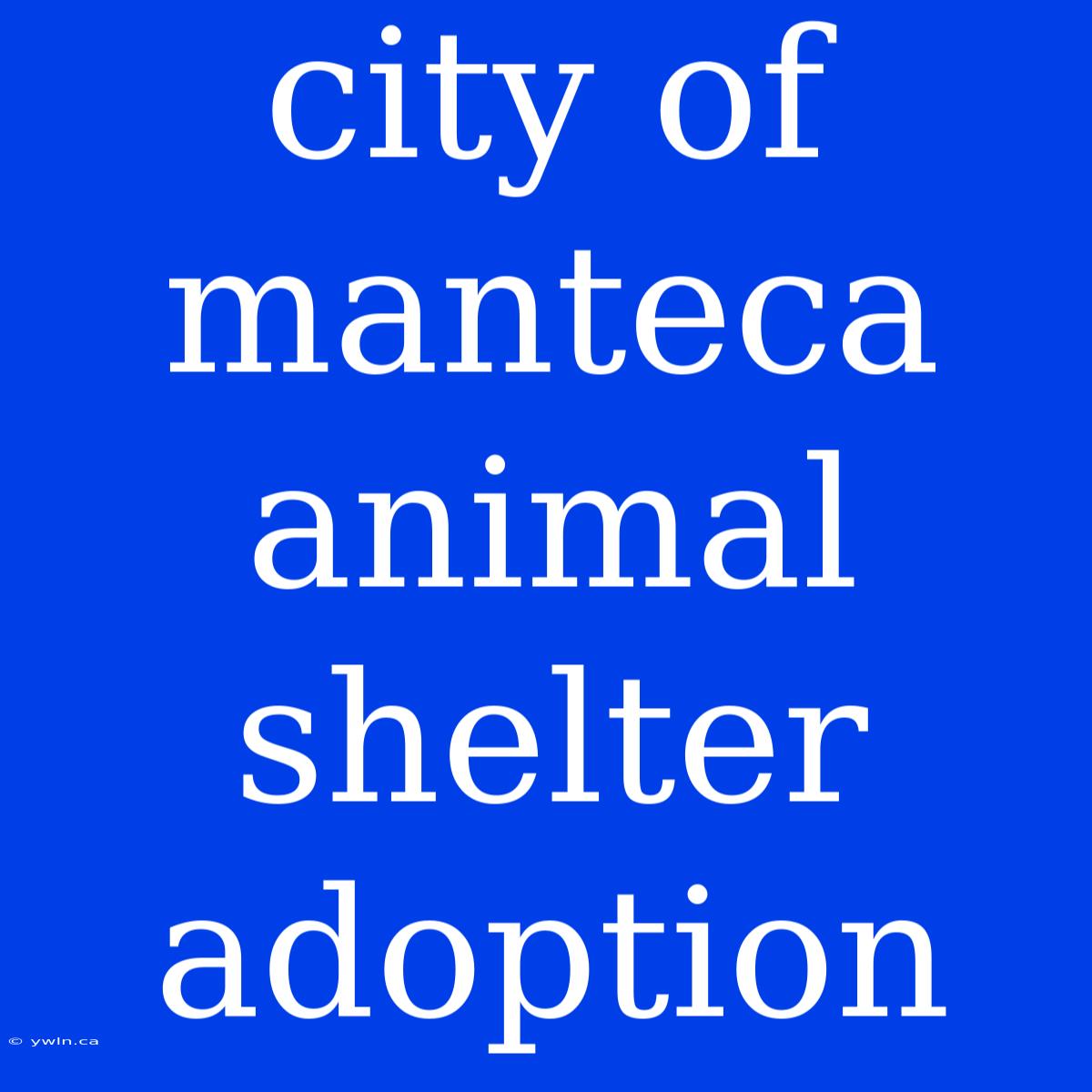 City Of Manteca Animal Shelter Adoption