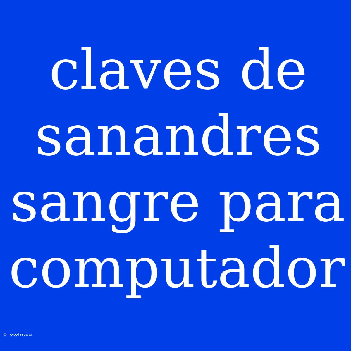 Claves De Sanandres Sangre Para Computador