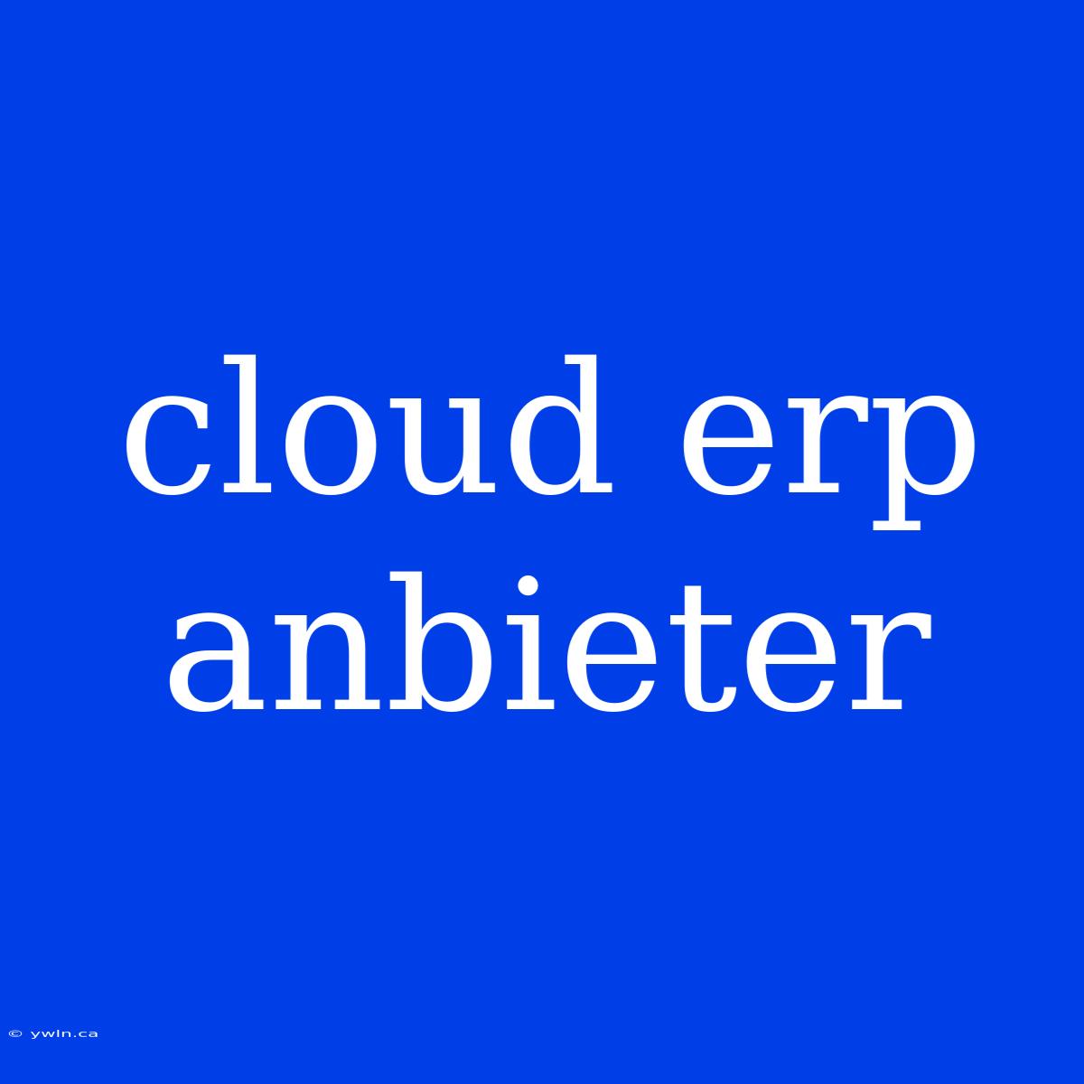 Cloud Erp Anbieter