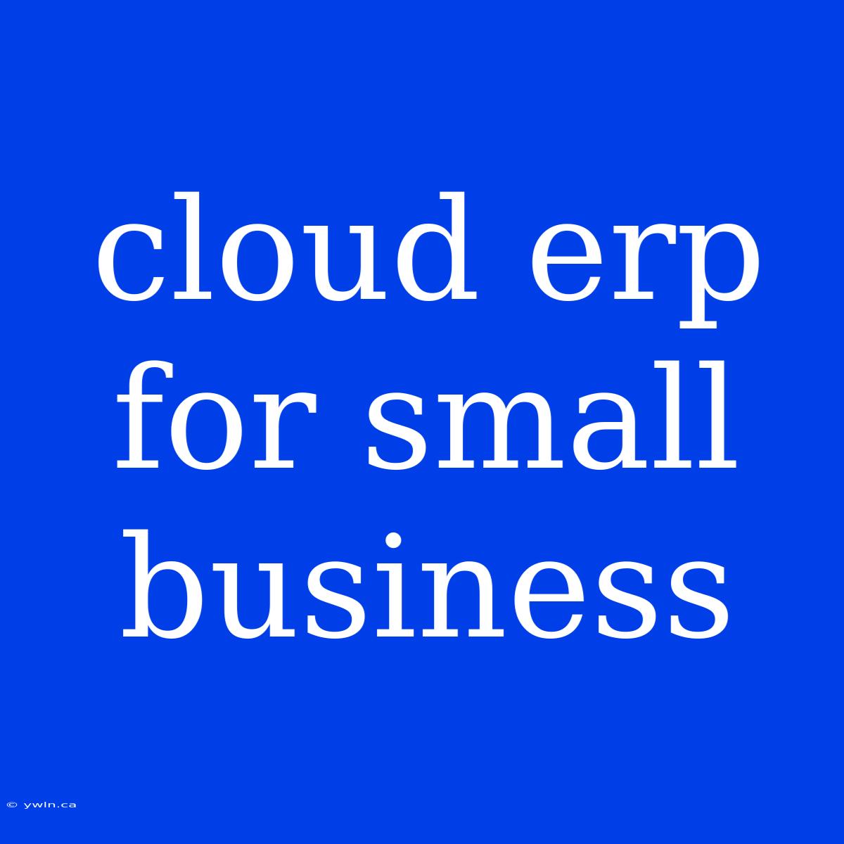 Cloud Erp For Small Business