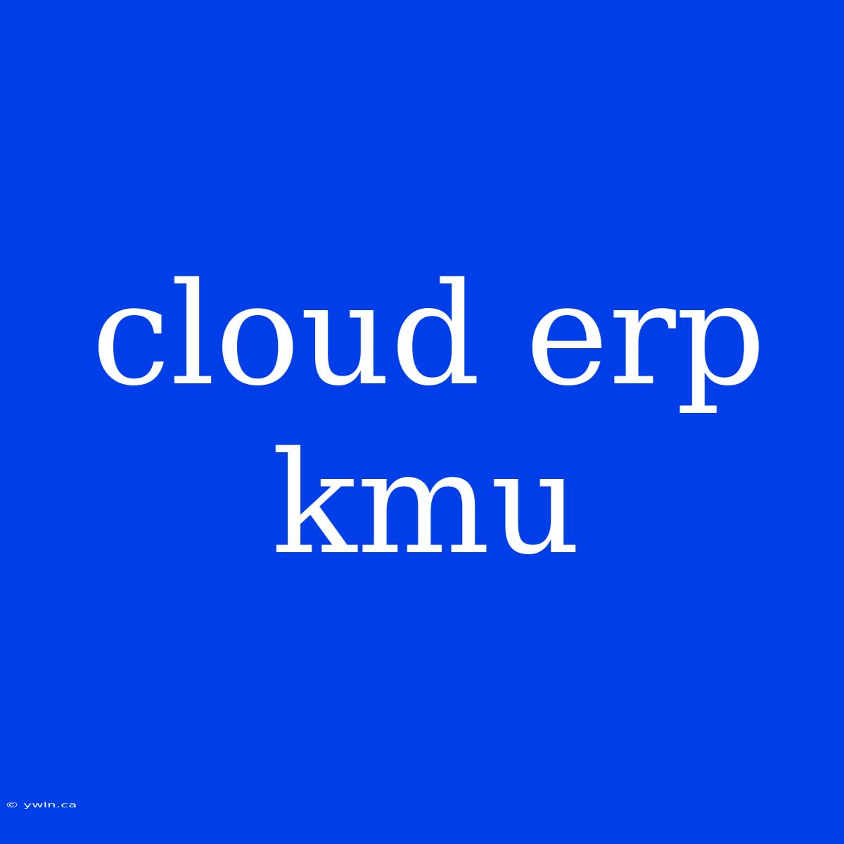 Cloud Erp Kmu