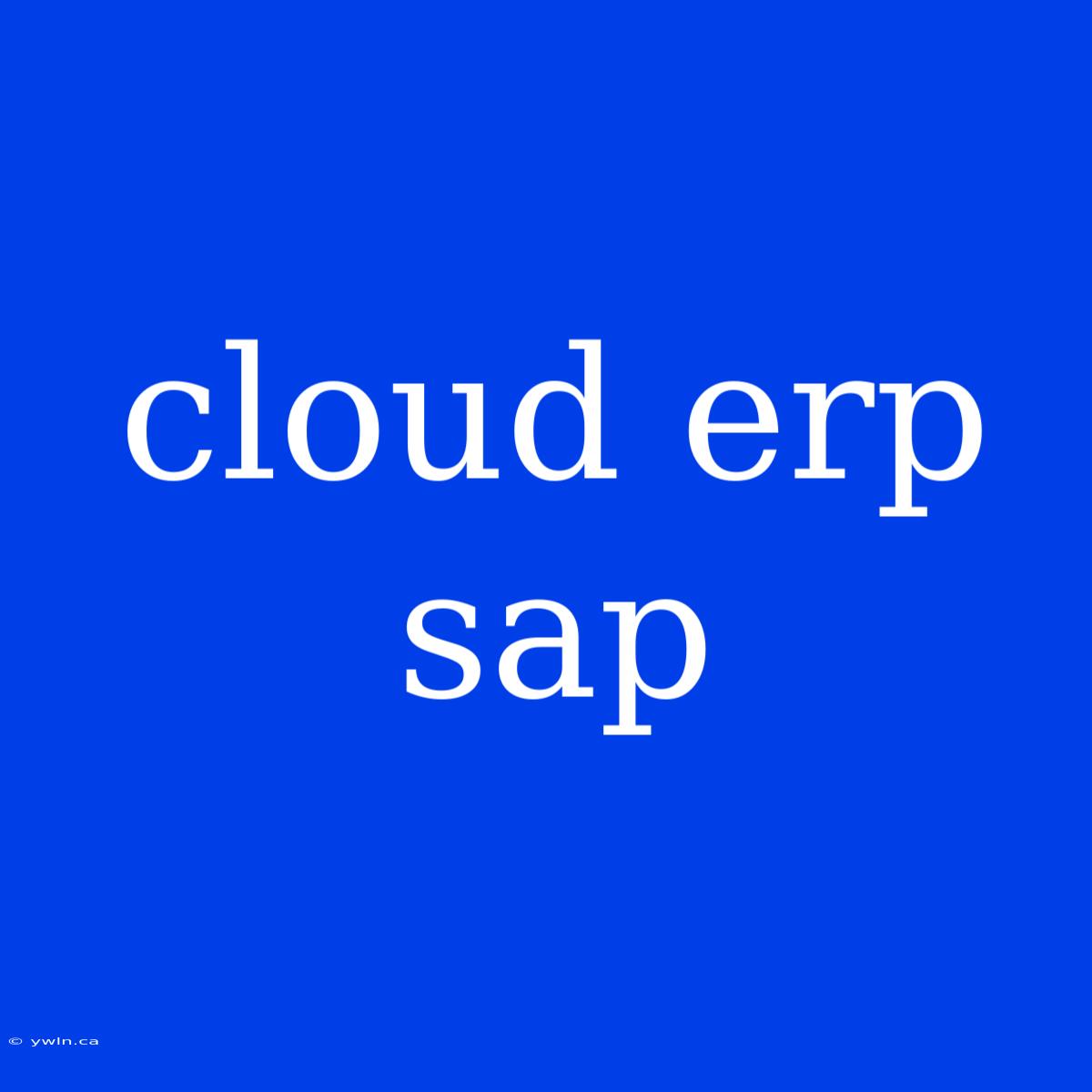 Cloud Erp Sap