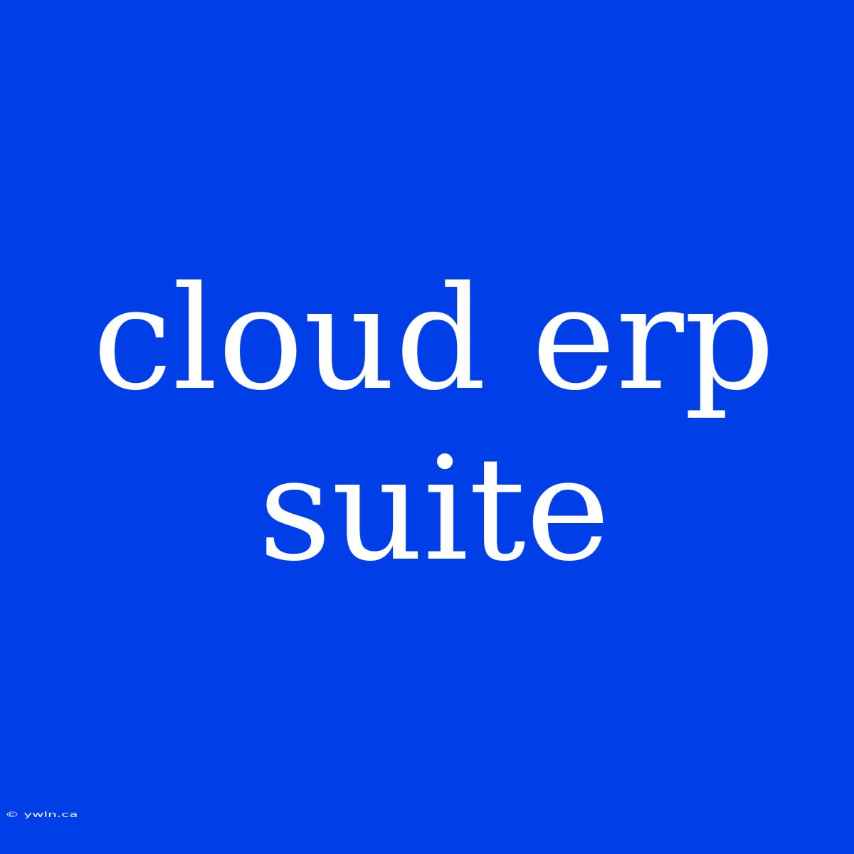 Cloud Erp Suite