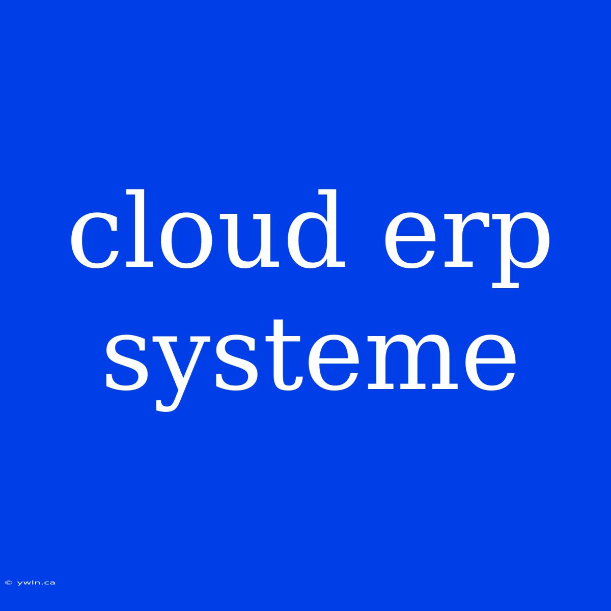 Cloud Erp Systeme