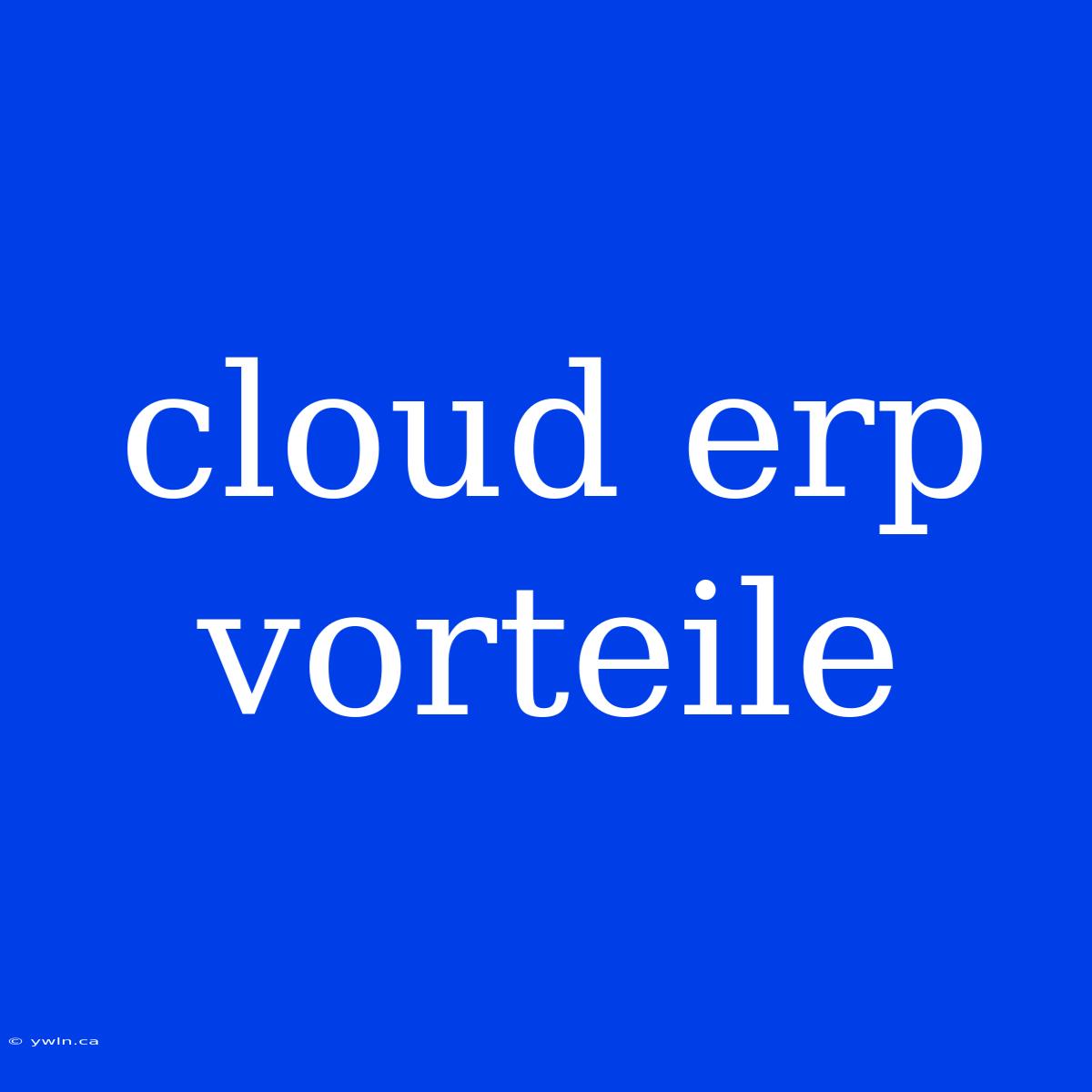 Cloud Erp Vorteile