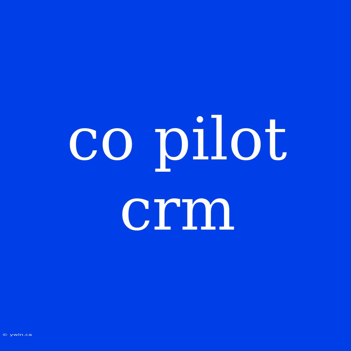 Co Pilot Crm