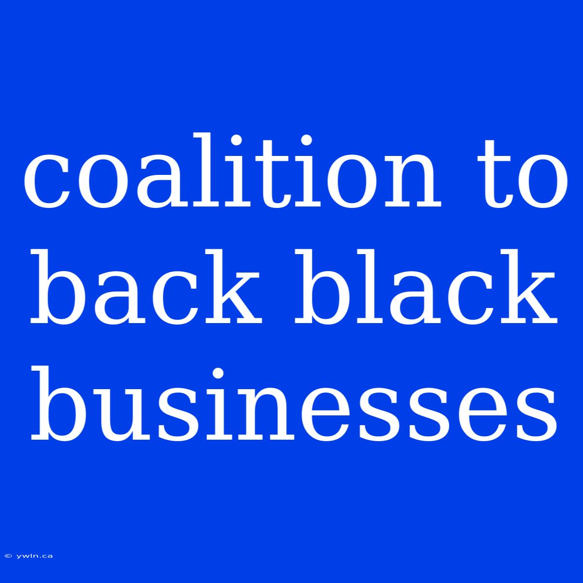 Coalition To Back Black Businesses