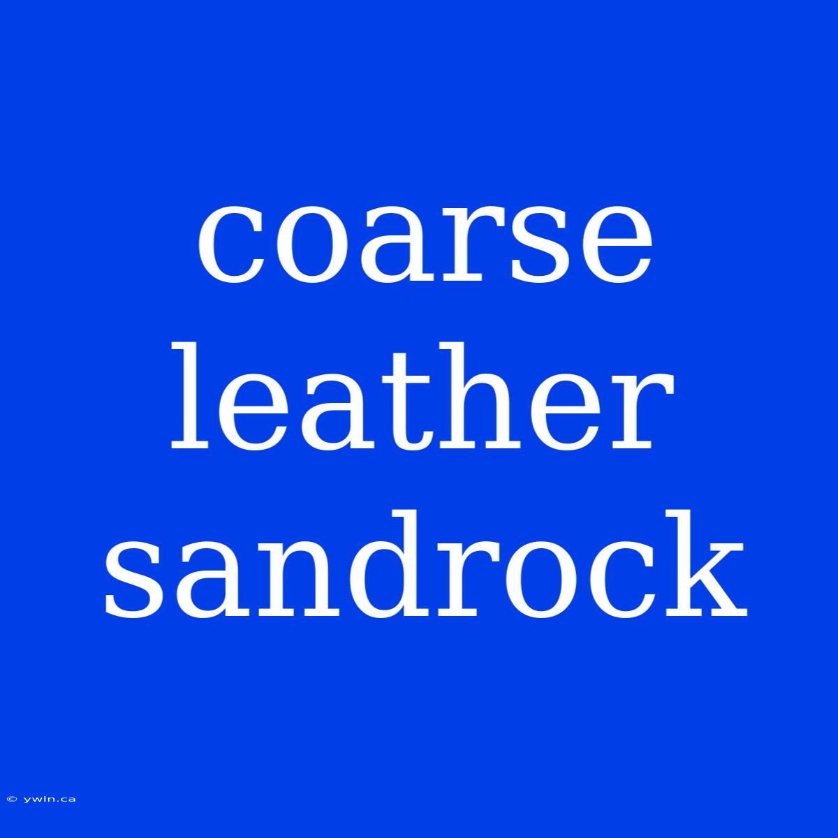 Coarse Leather Sandrock