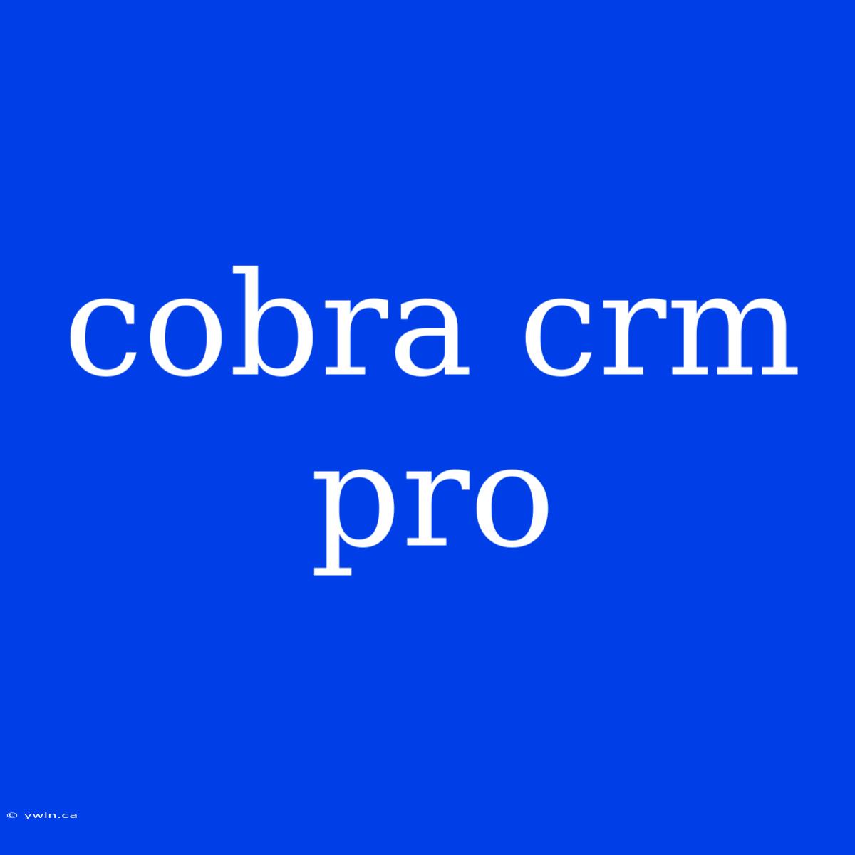 Cobra Crm Pro